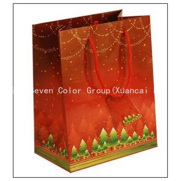 Professional Supplier Of Paper Bag 